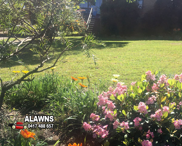 Lawn Mowing Baulkham Hills with bird eating flower